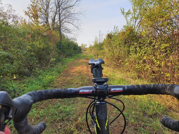 NNY trails
