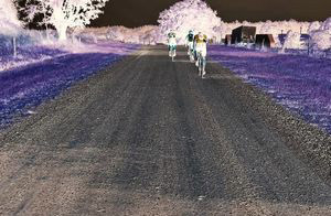 Gravel Biking